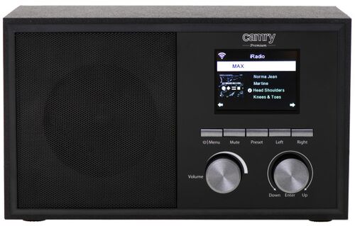 INTERNET RADIO CAMRY CR1180