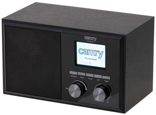 INTERNET RADIO CAMRY CR1180