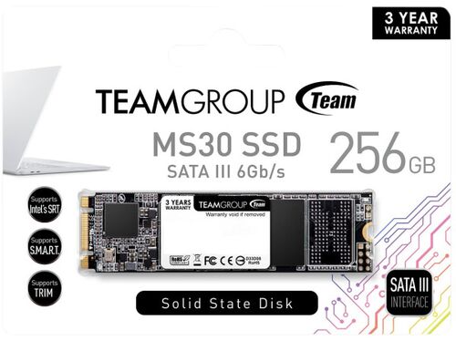 TEAMGROUP M.2 2280 256GB MS30 NGFF SSD SATA3 500/400MB/S TM8PS7256G0C101