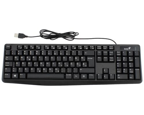 GENIUS KB-117 USB YU CRNA TASTATURA