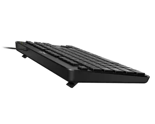 TASTATURA GENIUS LUXMATE 110 USB,SR