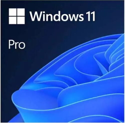 MICROSOFT WINDOWS 11 PRO 64BIT ENG INTL OEM DSP DVD (FQC-10528)