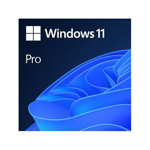 MS OEM Windows 11 Pro Eng 64-bit, FQC-10528