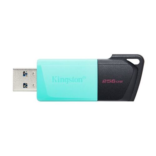 USB FD.256GB KINGSTON DTXM/256GB