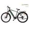 MS ENERGY EBIKE T100