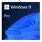 MICROSOFT WINDOWS 11 PRO 64BIT ENG INTL OEI DVD (FQC-10529)